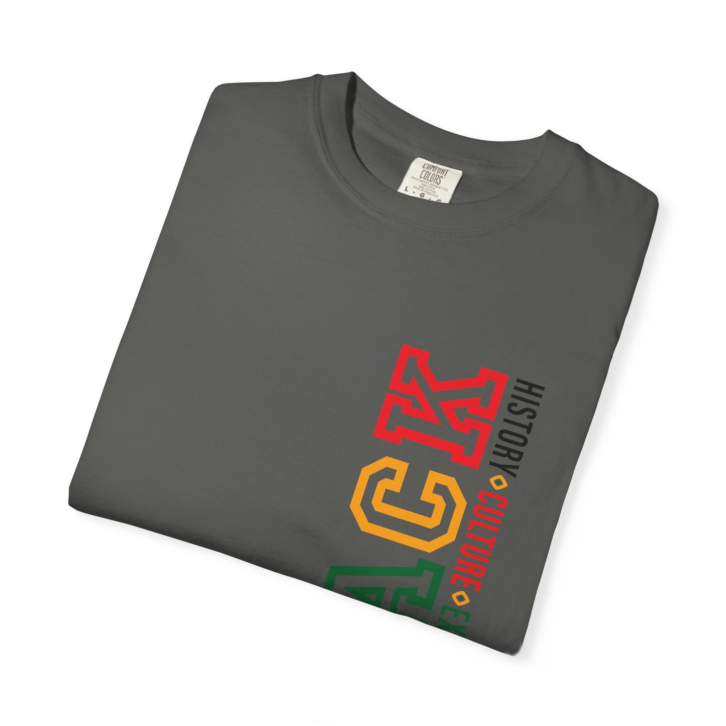Celebrate Black | History, Culture, Excellence, Respect Unisex T-Shirt